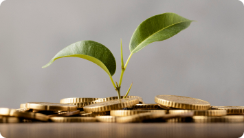 Что нужно знать о видах банковских вкладов в 2022-2023 году | Блог Банка Синара